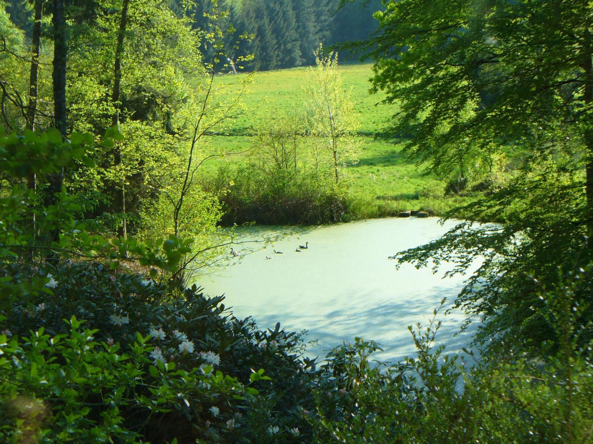 Forstgut Stuebeckshorn Soltau Exterior foto